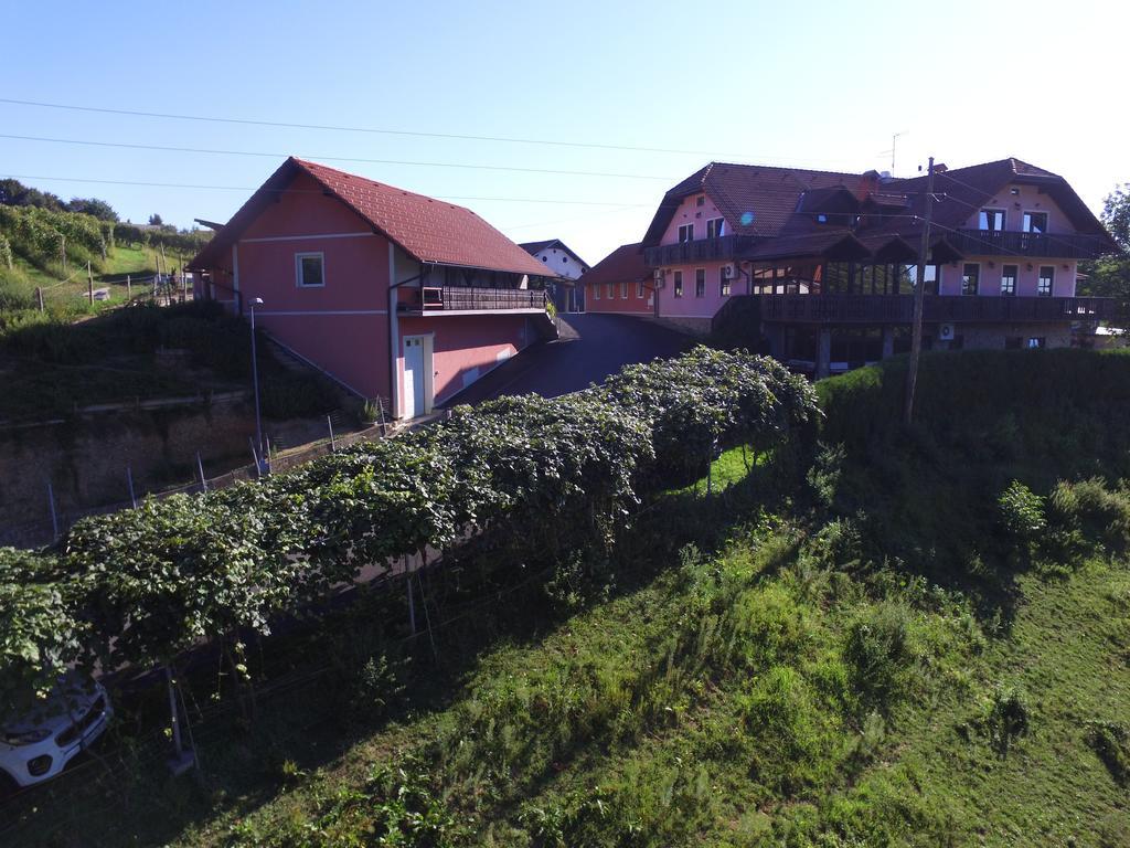 Guesthouse Kaucic Benedikt v Slovenskih Goricah المظهر الخارجي الصورة