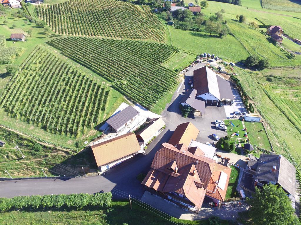 Guesthouse Kaucic Benedikt v Slovenskih Goricah المظهر الخارجي الصورة