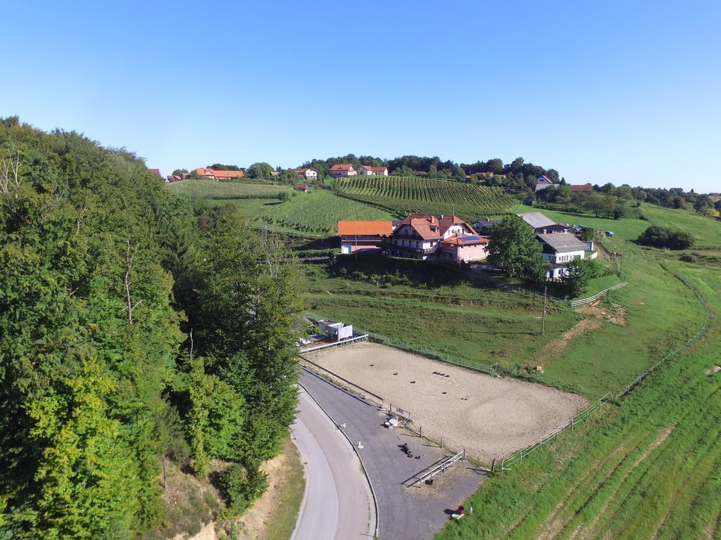 Guesthouse Kaucic Benedikt v Slovenskih Goricah المظهر الخارجي الصورة