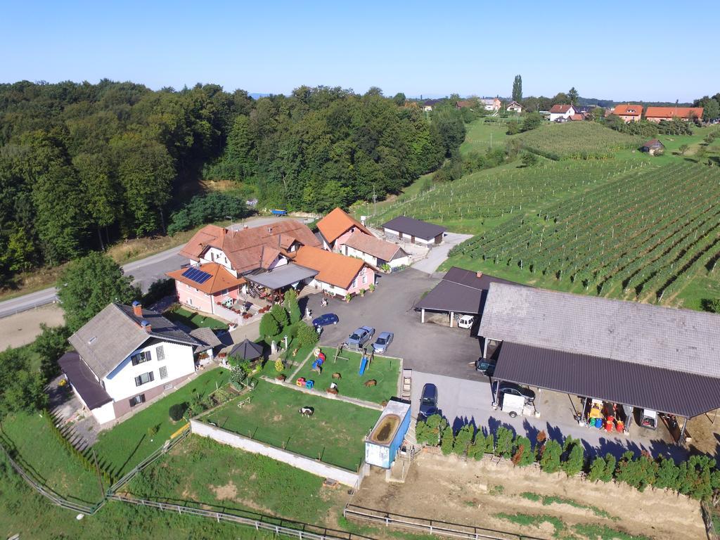 Guesthouse Kaucic Benedikt v Slovenskih Goricah المظهر الخارجي الصورة