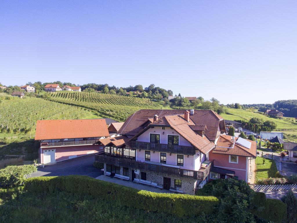Guesthouse Kaucic Benedikt v Slovenskih Goricah المظهر الخارجي الصورة